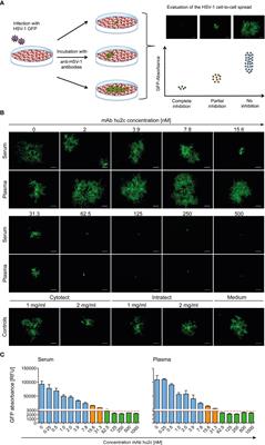 Cell-to-cell spread inhibiting antibodies constitute a correlate of protection against herpes simplex virus type 1 reactivations: A retrospective study